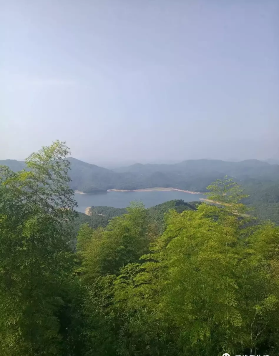 催熟猕猴桃香蕉快一点还是苹果快(2)
