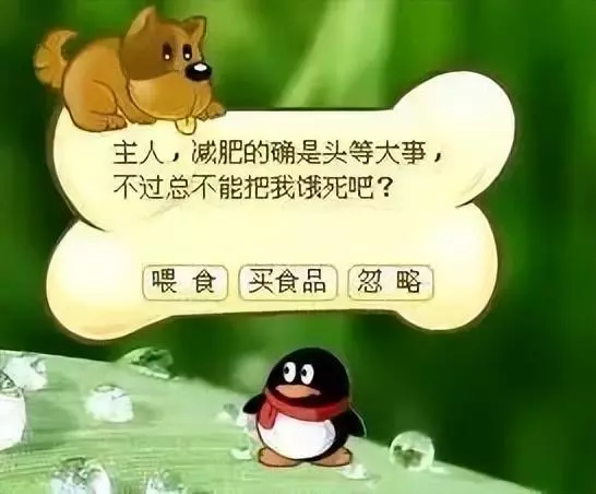 QQ宠物什么时候恢复运营(2)