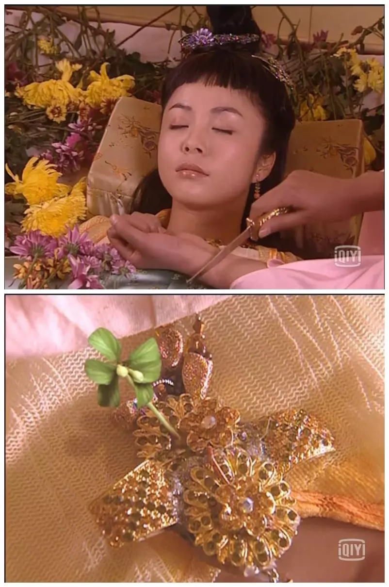 猪八戒最爱小龙女还是锦毛鼠(11)