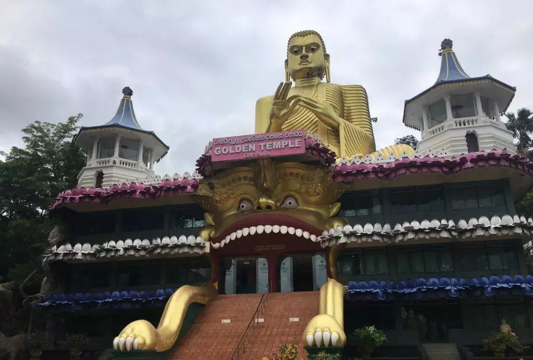 刘胜军山东哪里的(6)