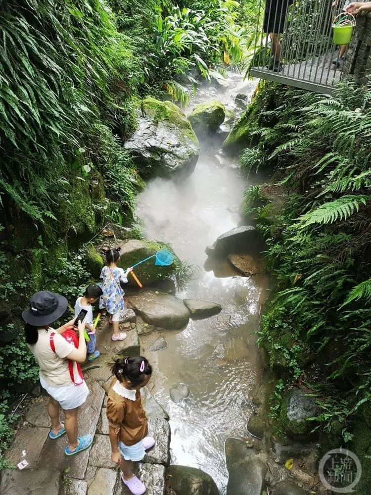绍龙观需要门票吗(2)