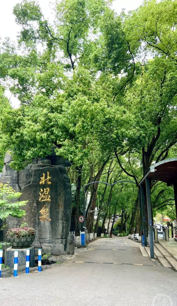 绍龙观需要门票吗(3)