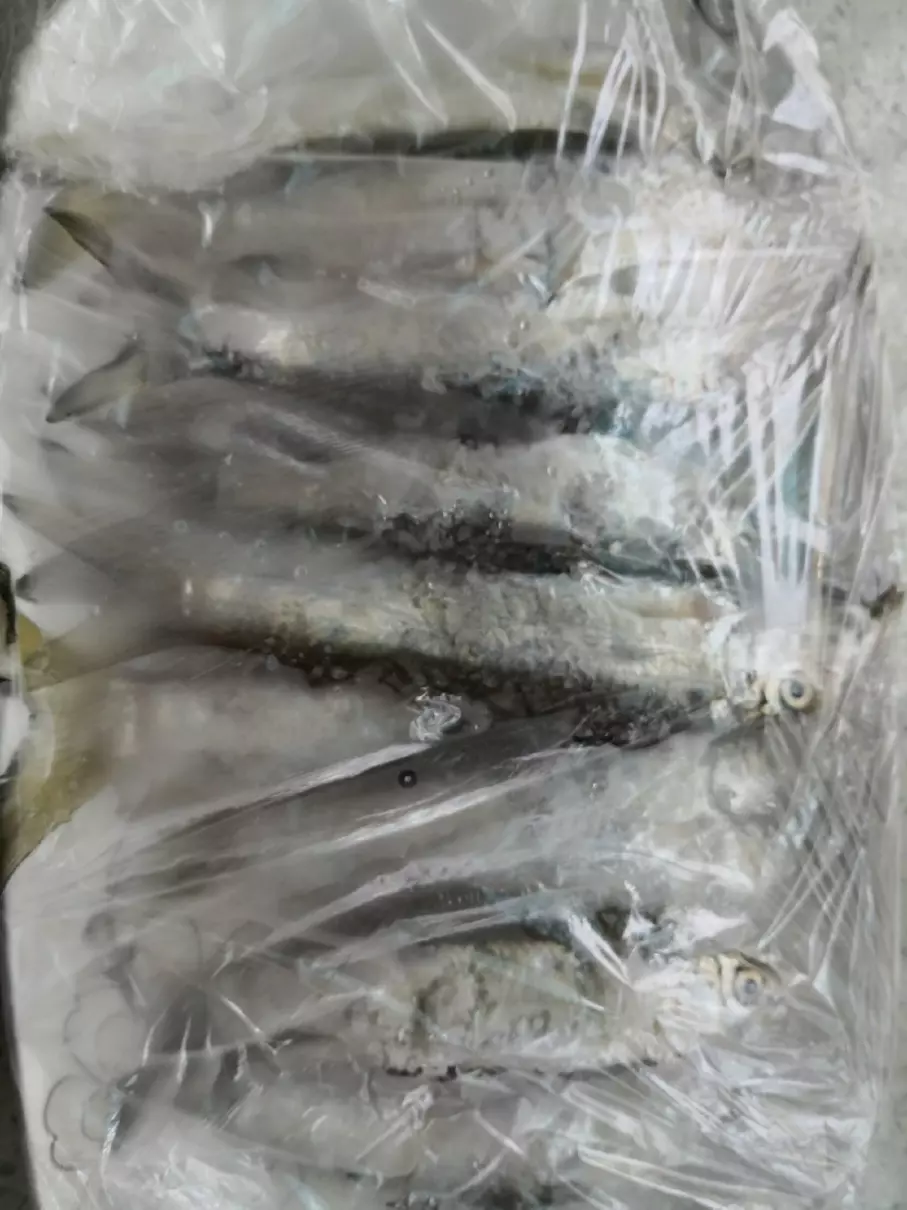 逆鱼用什么饵料钓最好(4)