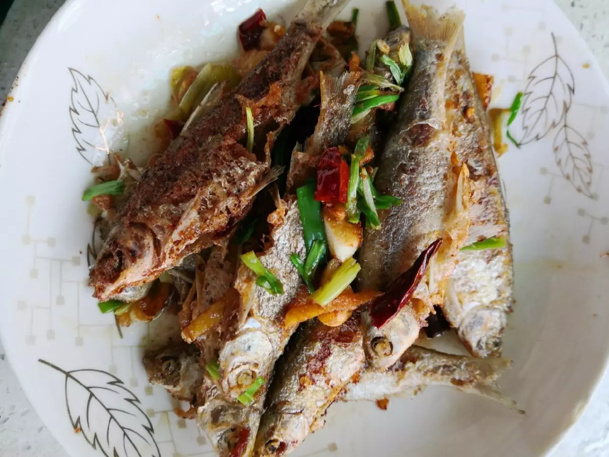 逆鱼用什么饵料钓最好(5)