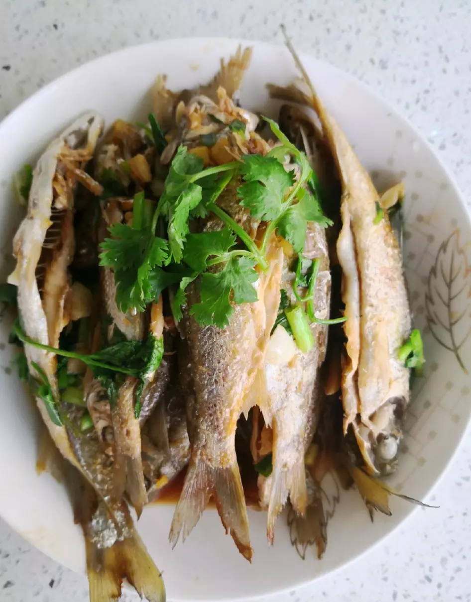 逆鱼用什么饵料钓最好(6)