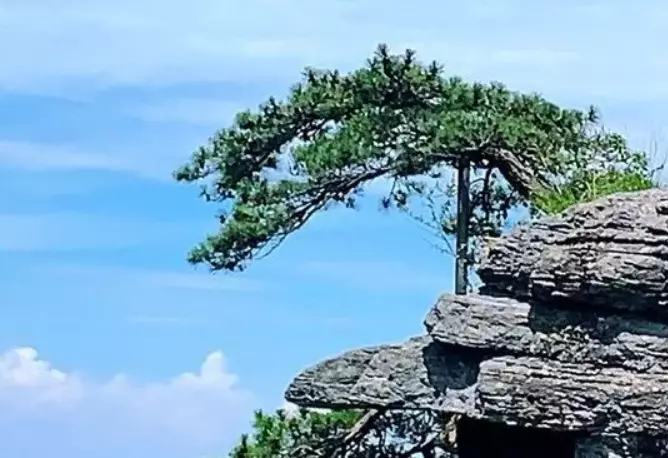 深圳论坛大全(1)