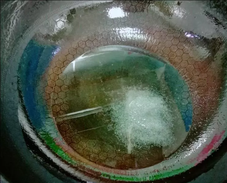 鸭腿炖土豆怎么做好吃又简单(6)
