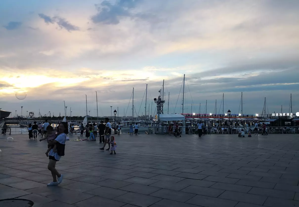 为什么大连一年四季都有海鸥(15)