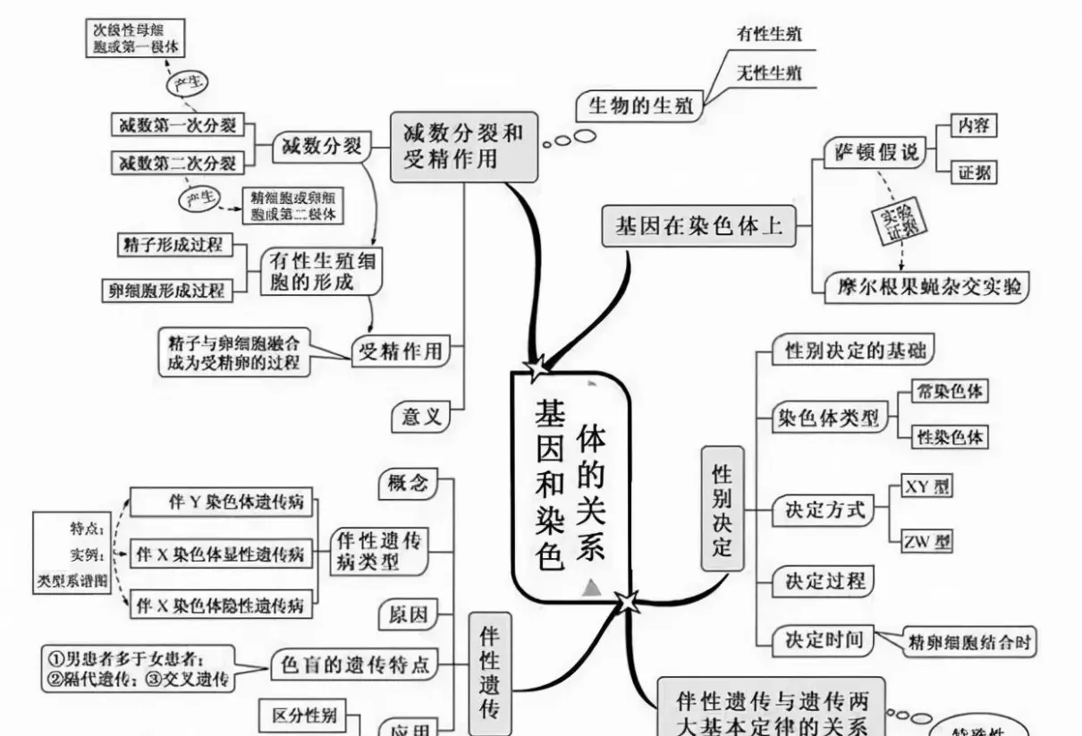 变量是什么意思七年级生物(10)
