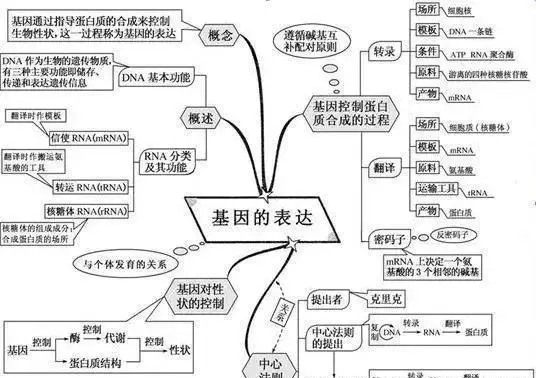 变量是什么意思七年级生物(11)
