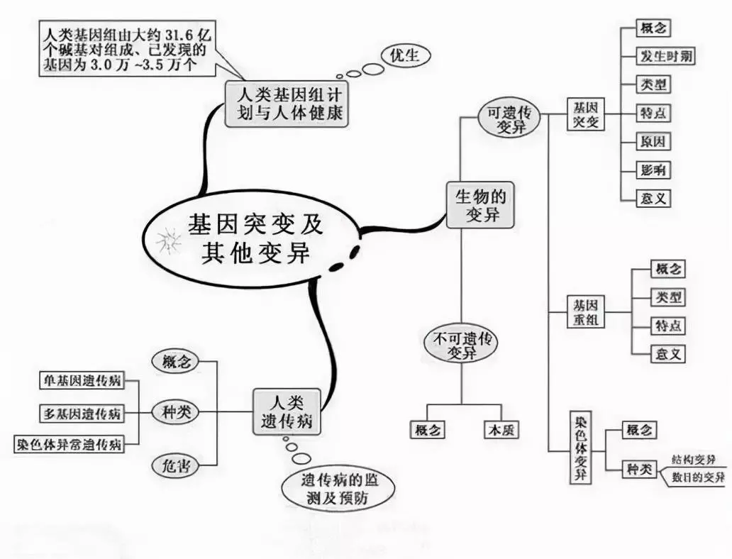 变量是什么意思七年级生物(12)