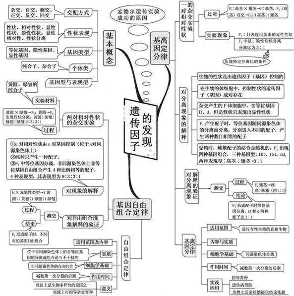 变量是什么意思七年级生物(13)