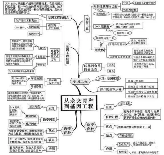 变量是什么意思七年级生物(14)