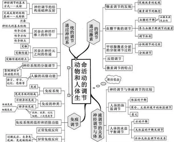 变量是什么意思七年级生物(16)