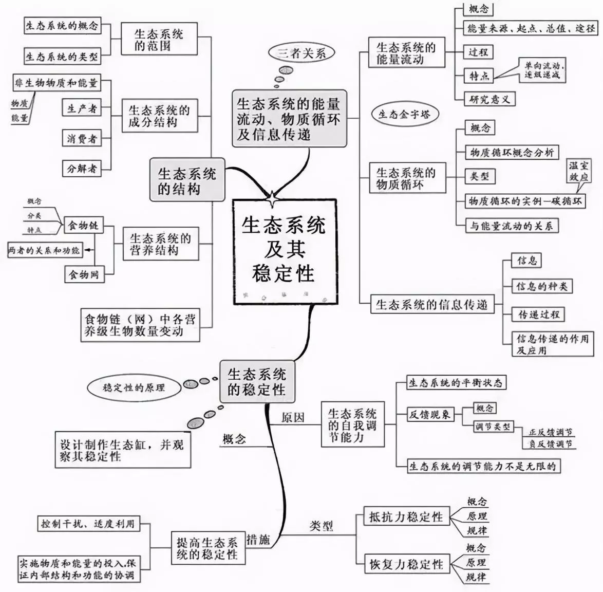 变量是什么意思七年级生物(17)
