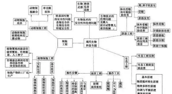 变量是什么意思七年级生物(18)