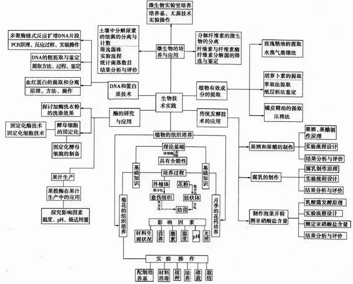 变量是什么意思七年级生物(20)