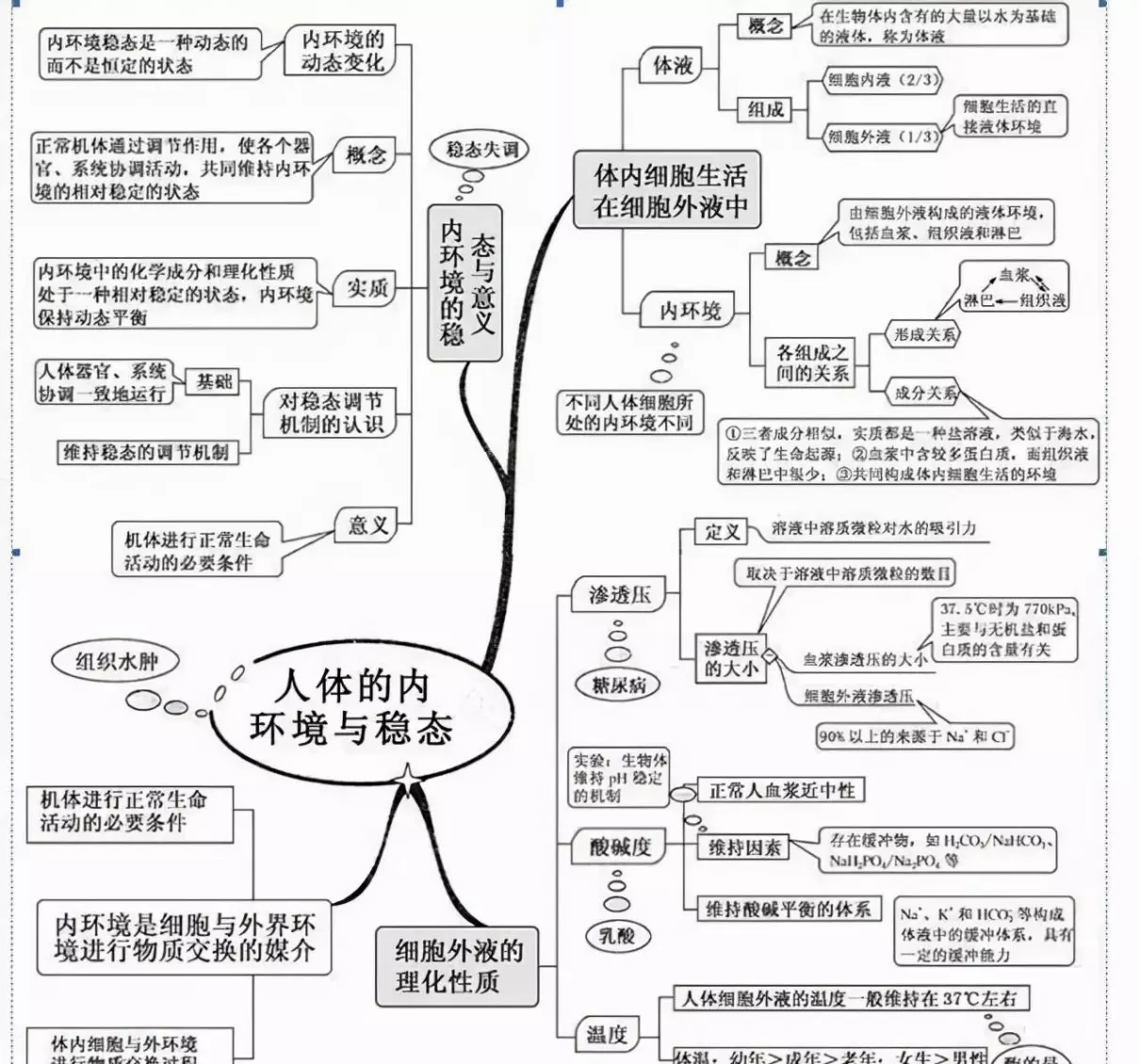 变量是什么意思七年级生物(2)