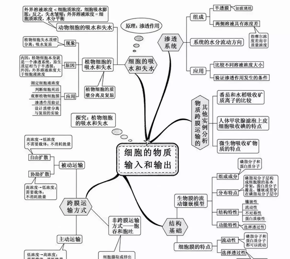 变量是什么意思七年级生物(3)