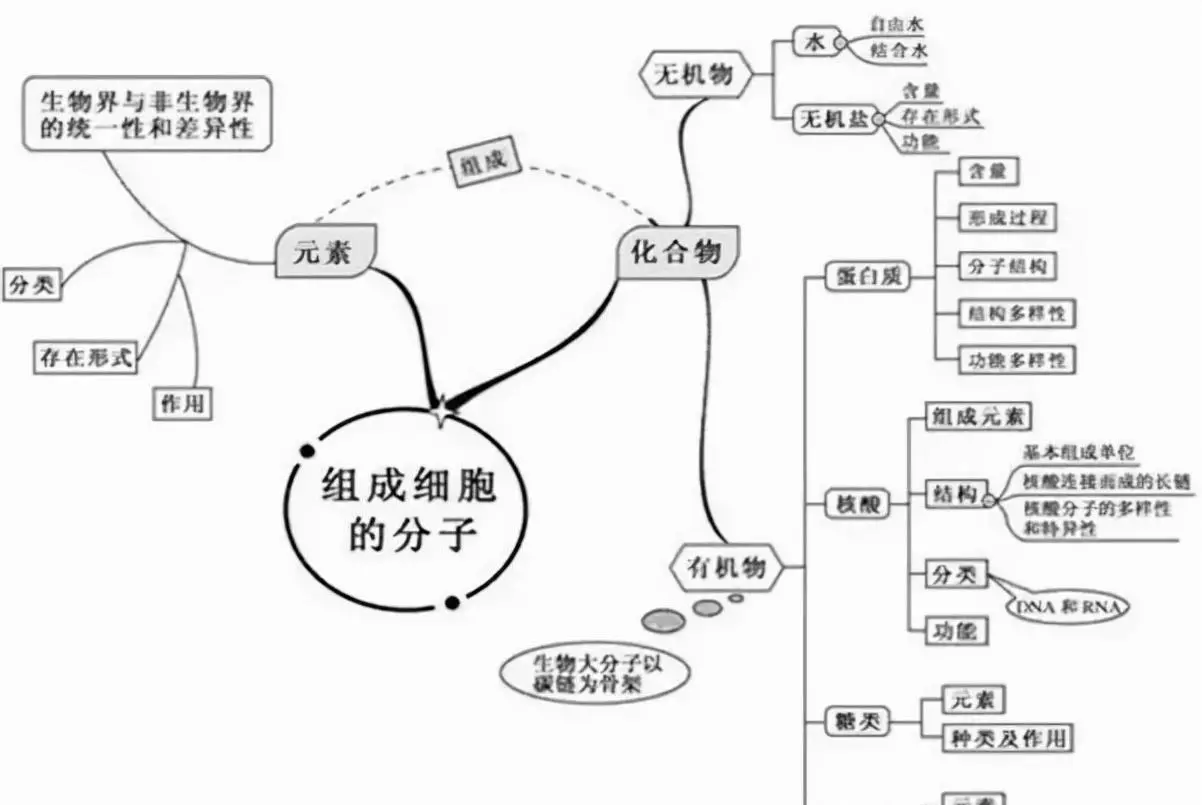 变量是什么意思七年级生物(4)