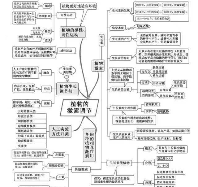 变量是什么意思七年级生物(5)