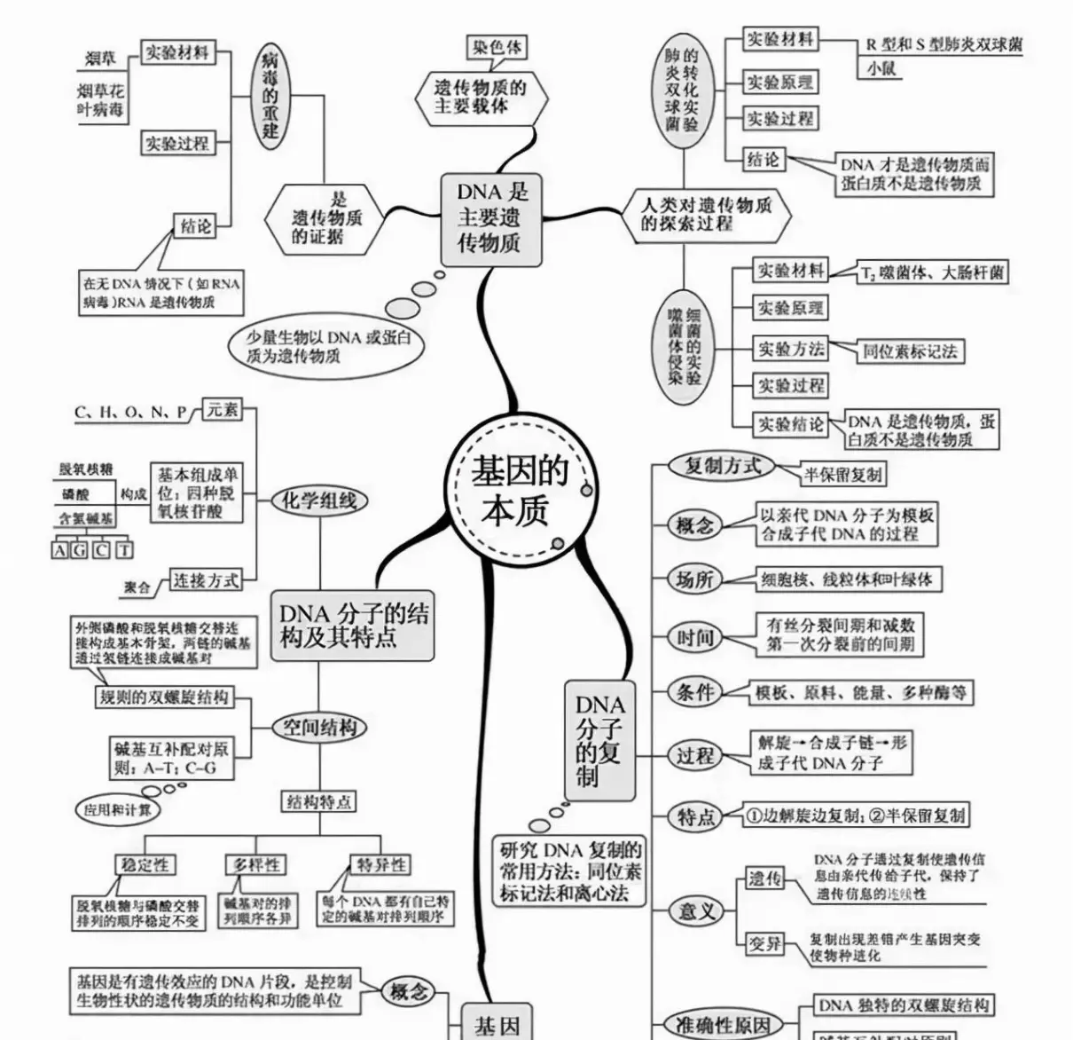 变量是什么意思七年级生物(6)