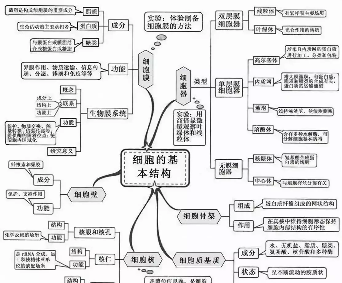 变量是什么意思七年级生物(7)