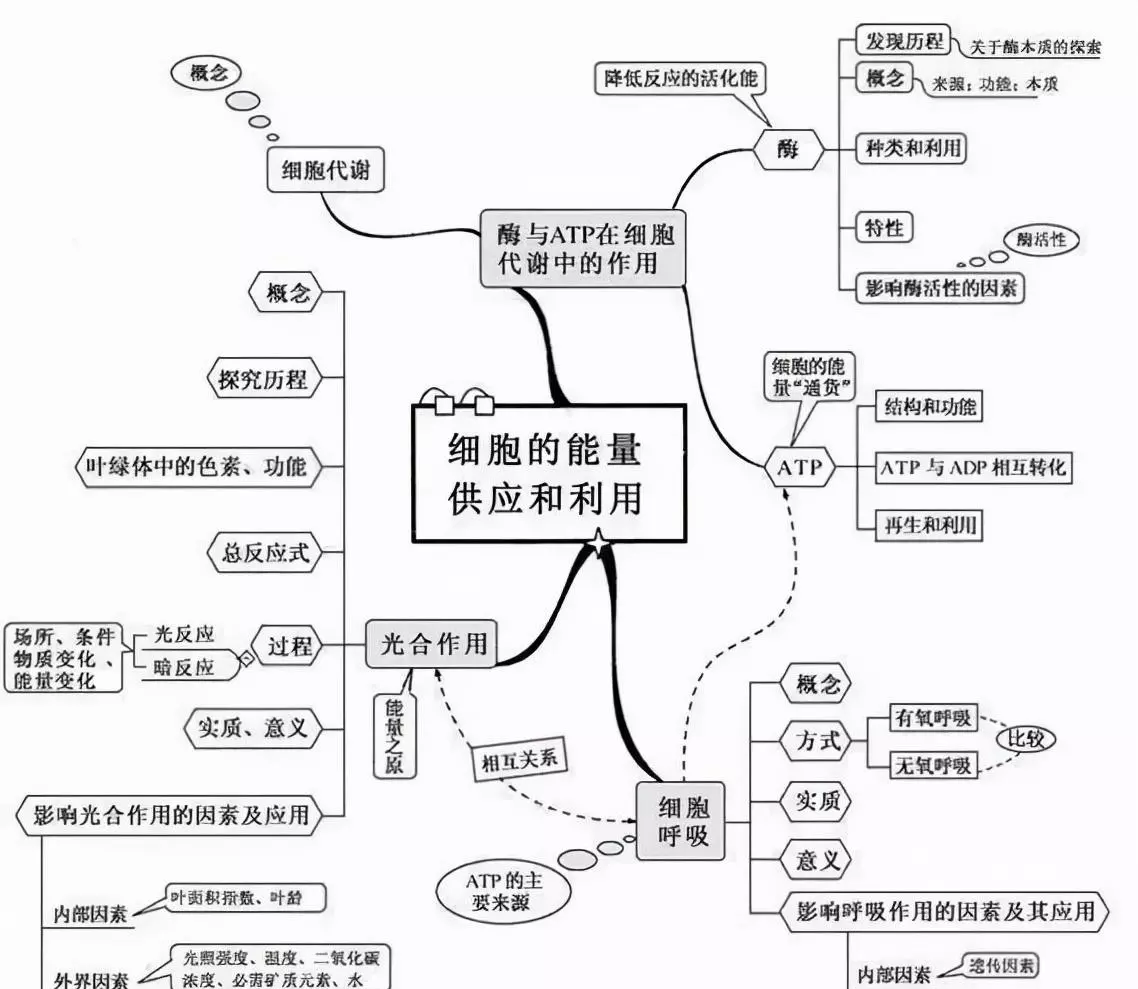变量是什么意思七年级生物(8)