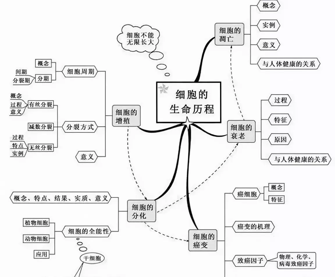 变量是什么意思七年级生物(9)