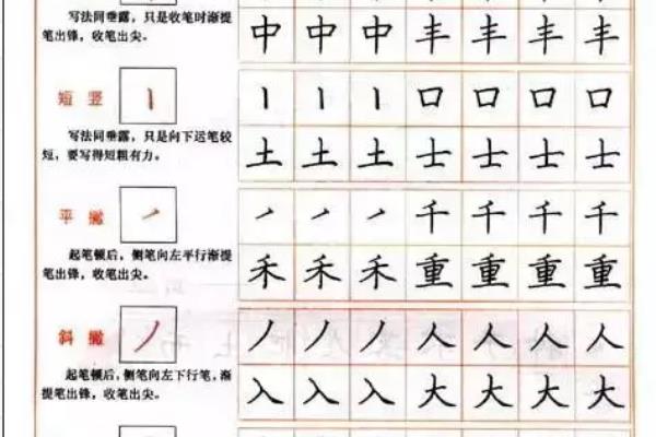 钢笔书法入门基础训练.