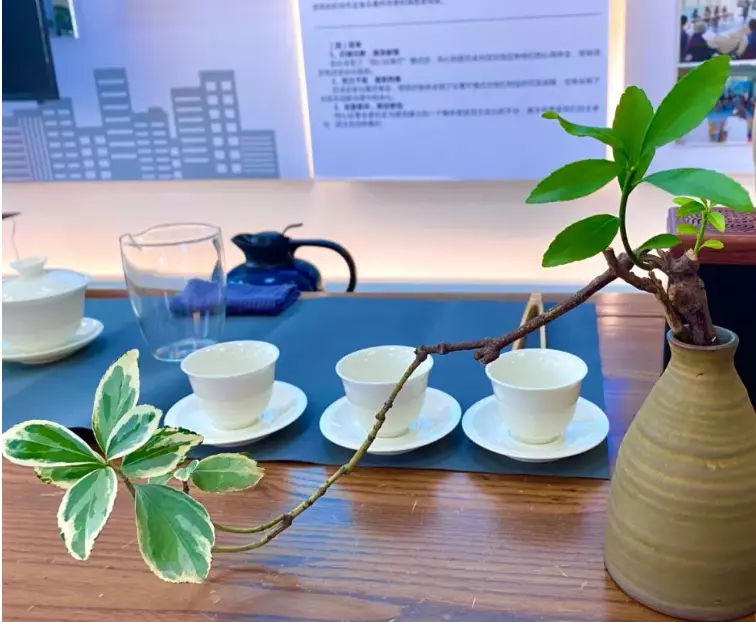 连元英禾双语学校怎么样(4)