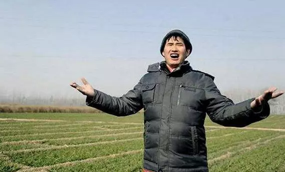 网红农民歌手有哪些(3)