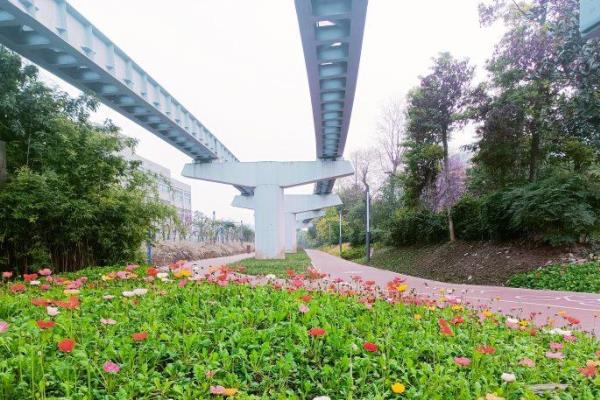 璧山云巴是全国第一个项目吗.
