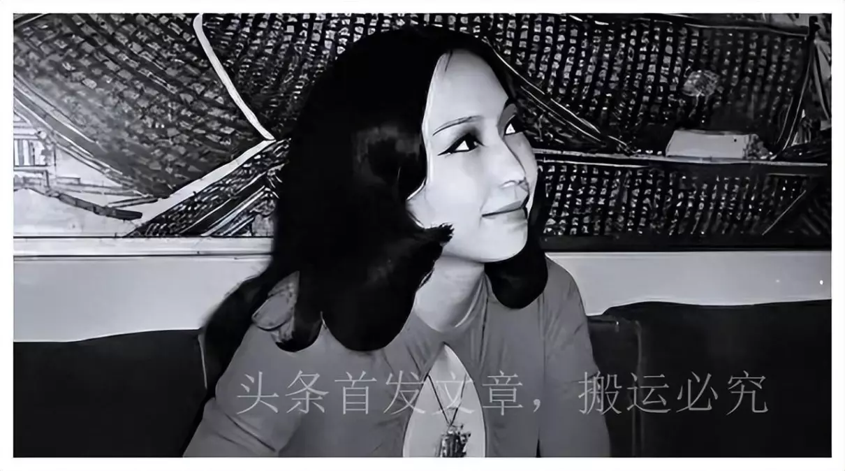 色姑娘导航(4)