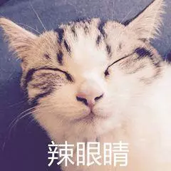 3号台风是谣言吗(10)