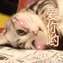 3号台风是谣言吗(1)