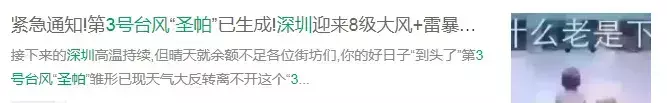 3号台风是谣言吗(6)