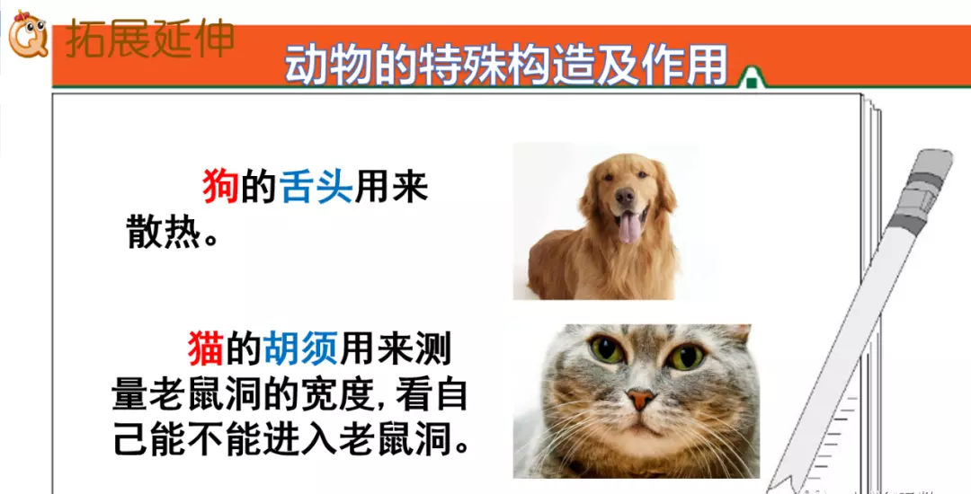 小溪像什么似的什么造句二年级(69)