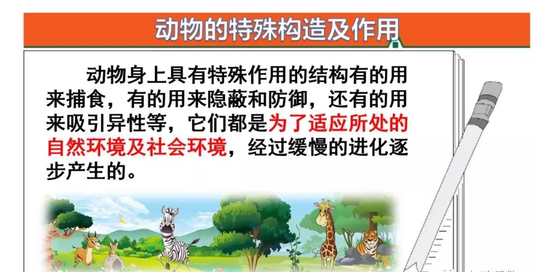 小溪像什么似的什么造句二年级(71)