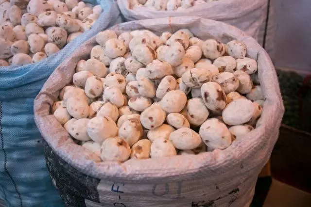midea热水器怎么清洗(1)