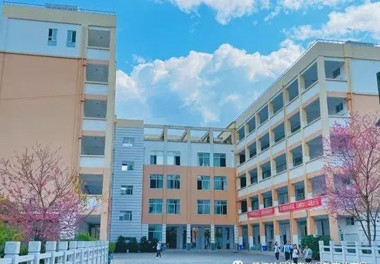 墨江一中是重点高中吗(2)