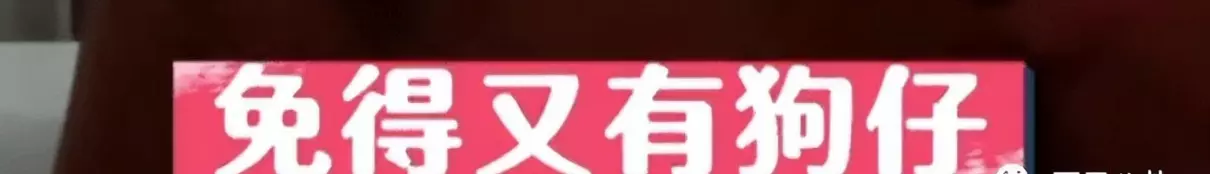 辰亦儒交往过的女友(19)