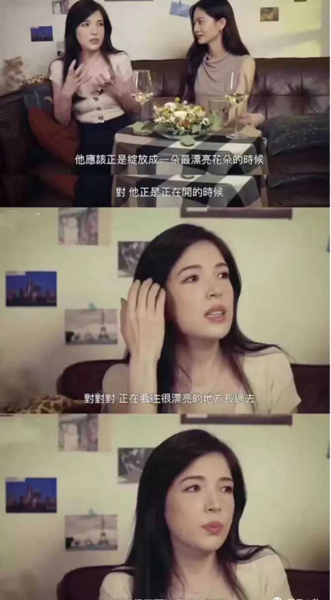 辰亦儒交往过的女友(54)