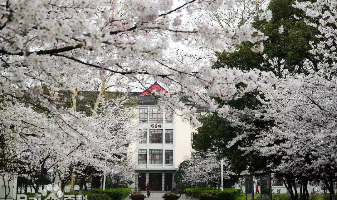 南京农业大学图书馆时间(13)