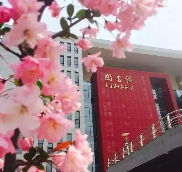 南京农业大学图书馆时间(8)