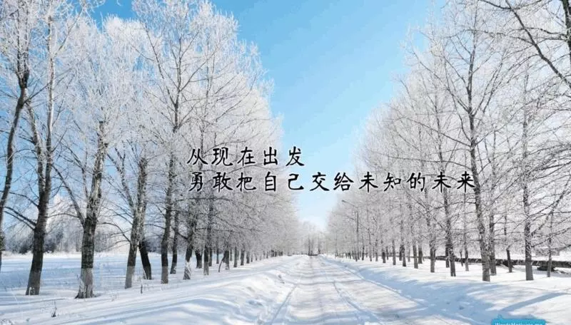 16句适合作为座右铭的励志古诗词(6)