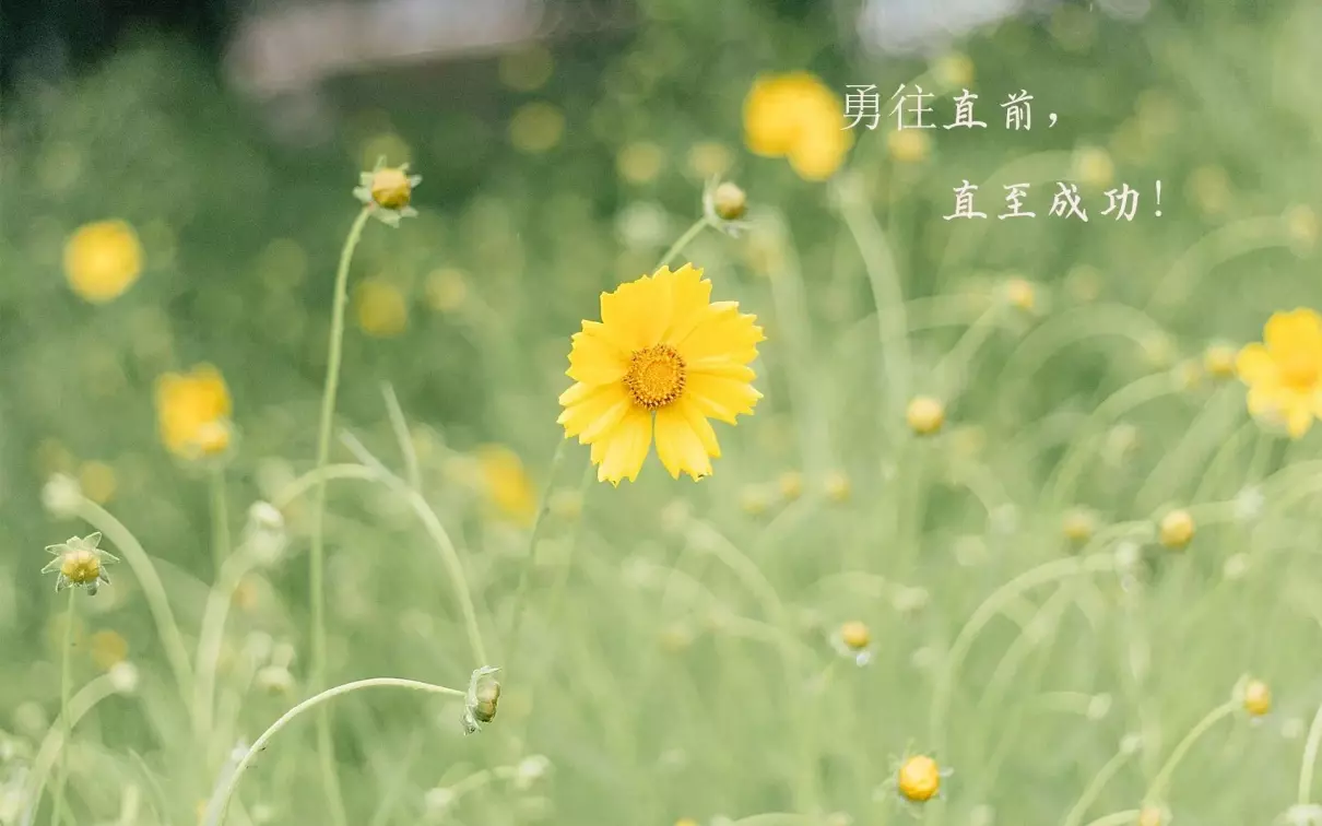 16句适合作为座右铭的励志古诗词(7)