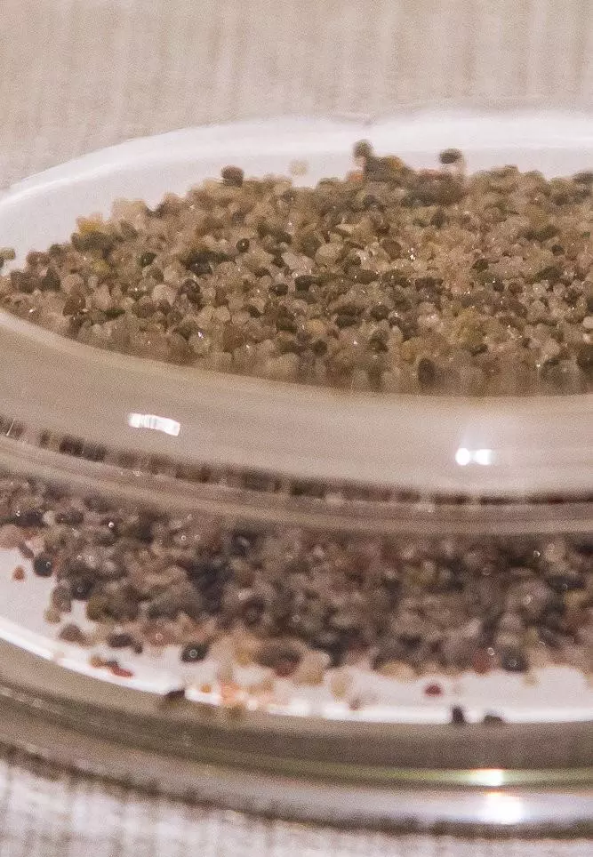 隆平寺水晶舍利是谁的(1)