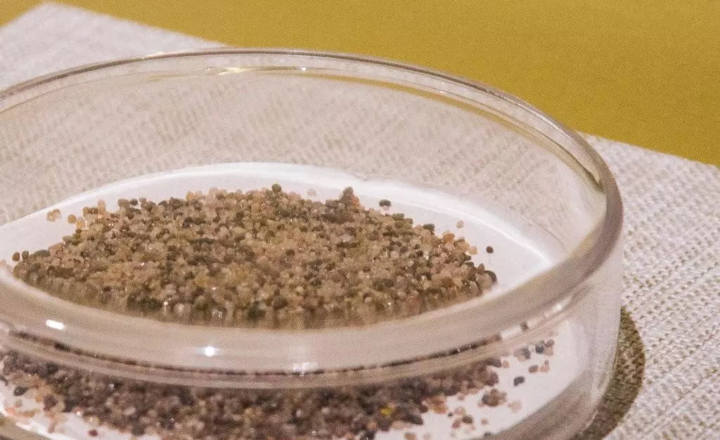 隆平寺水晶舍利是谁的(3)