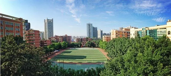 重庆市朝阳中学排名(11)